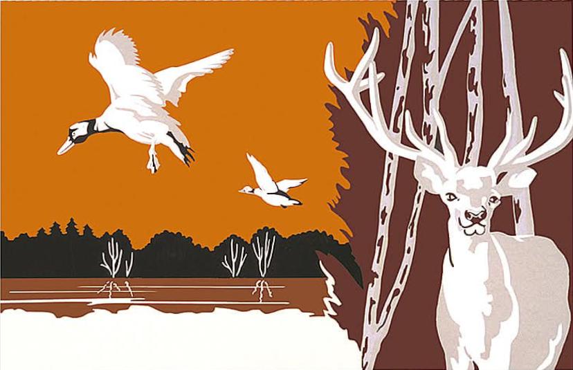 Photo du panneau : la Sologne